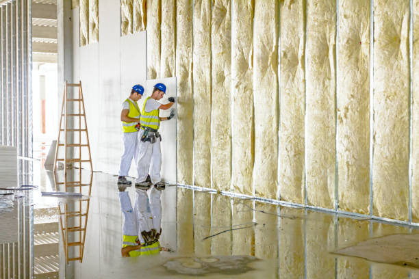 Best Insulation Installation Services in Richmond, KY
